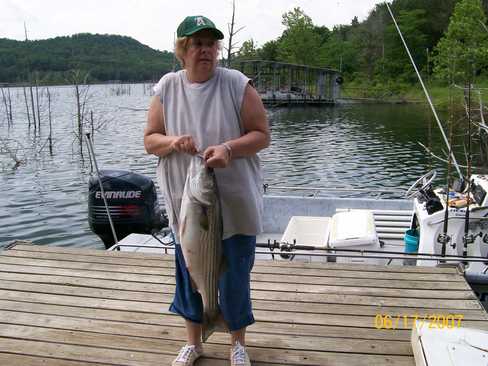 Nice Striped Bass