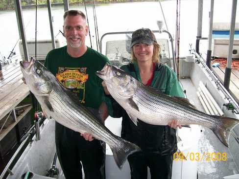 Nice Striped Bass