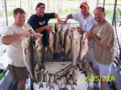 Nice Striped Bass