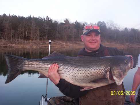 Nice Striped Bass