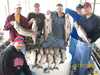 (05/10/2008) - Nice Striped Bass