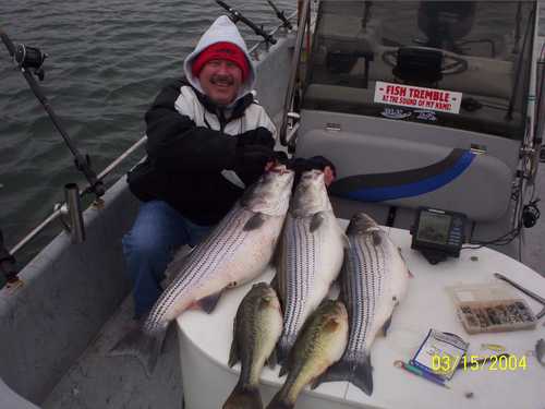 Nice mess of Stripers