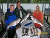 (07/09/2008) - Nice Striped Bass