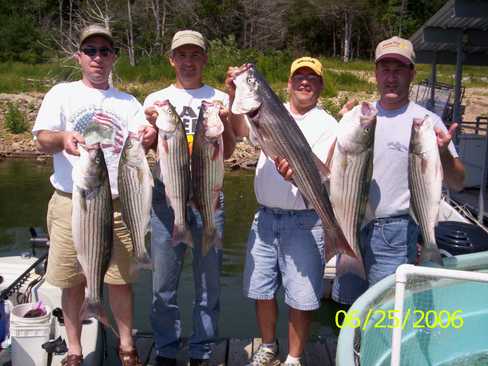 Nice Striped Bass