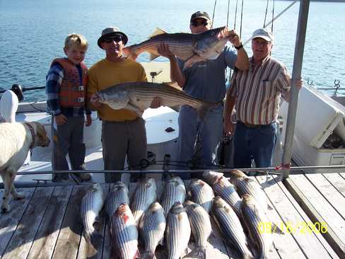 Nice Striped Bass