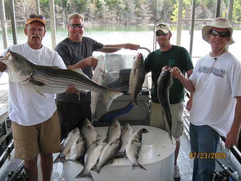 Nice Striped Bass