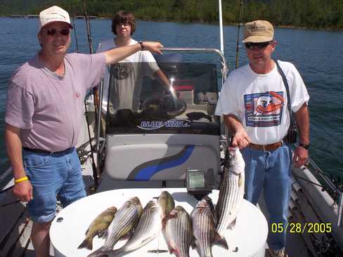 Nice Striped Bass