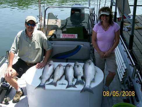 Nice Striped Bass