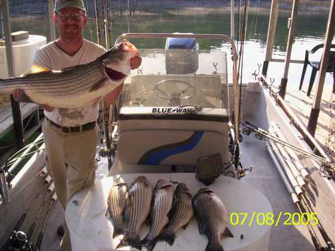 Nice Striped Bass