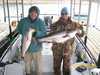 (03/07/2008) - Nice Striped Bass