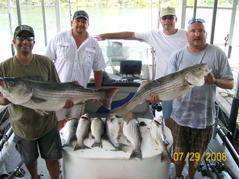 Nice Striped Bass