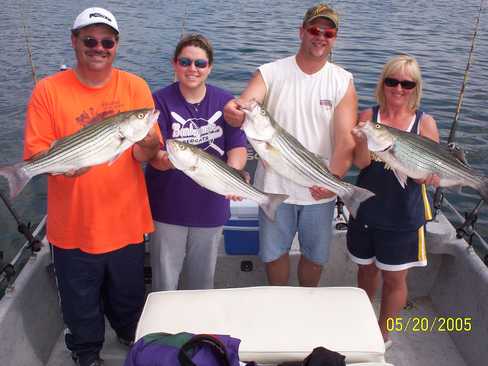 Nice Striped Bass