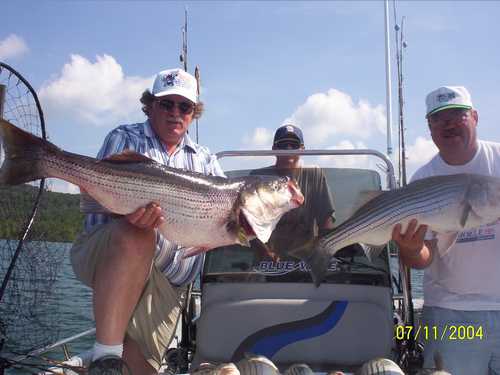 Nice Striped Bass