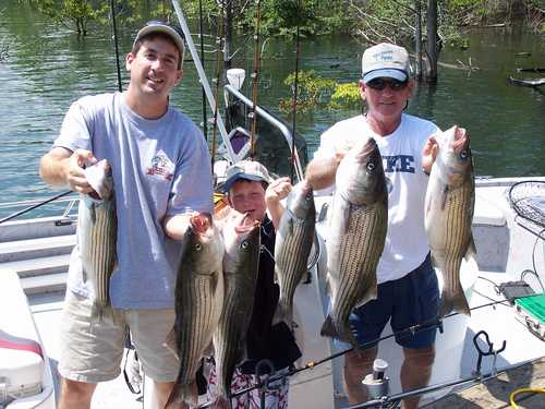 Nice Striped Bass