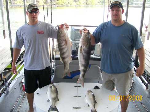 Nice Striped Bass