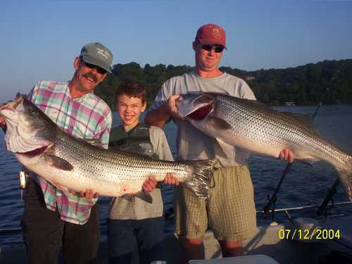 Nice Striped Bass