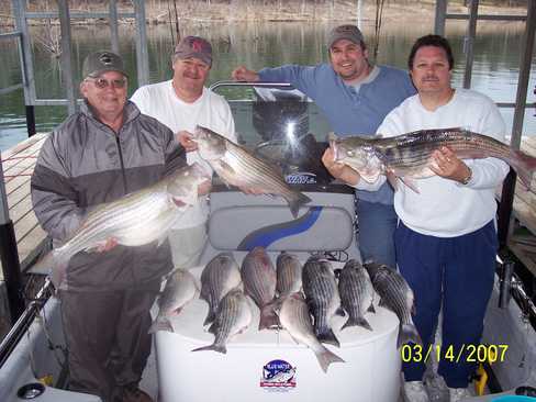 Nice Striped Bass