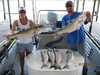 (07/17/2009) - Nice Striped Bass