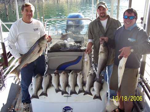 Nice Striped Bass