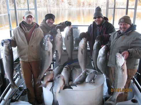 Nice Striped Bass
