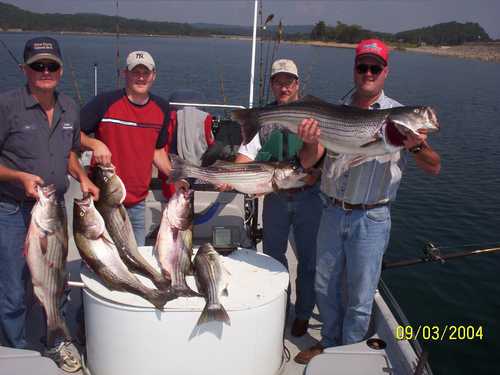 Now that is a Hog Striper