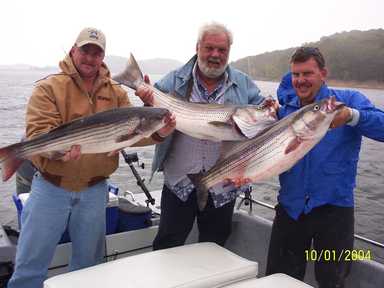 Nice Striped Bass