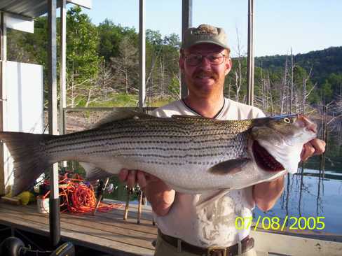 Nice Striped Bass