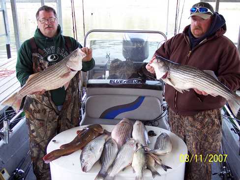 Nice Striped Bass