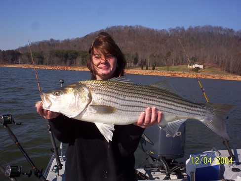 Nice Striped Bass