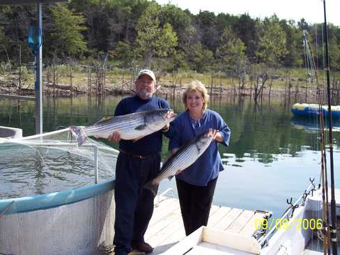 Nice Striped Bass