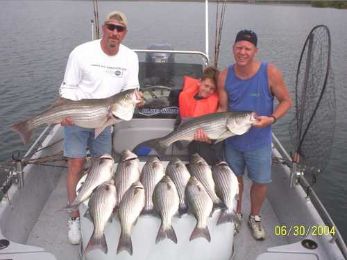 Nice Striped Bass