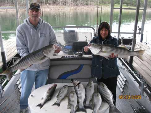 Nice Striped Bass