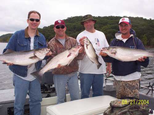 Nice Striped Bass