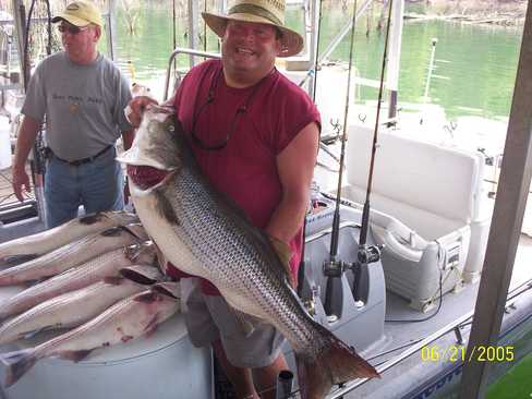 Nice Striped Bass