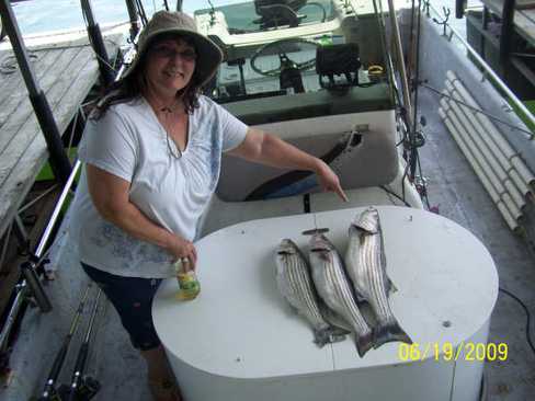 Nice Striped Bass