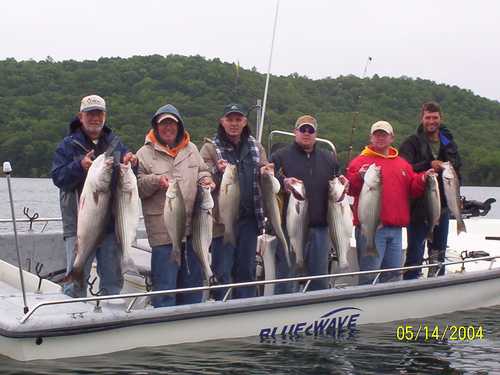 Nice Striped Bass