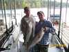 (08/28/2008) - Nice Striped Bass