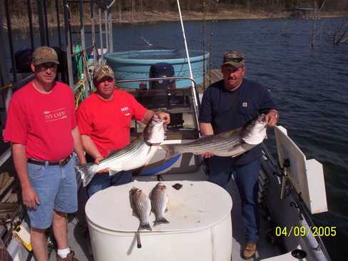 Nice Striped Bass