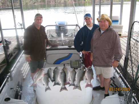 Nice Striped Bass