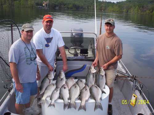 Nice Striped Bass