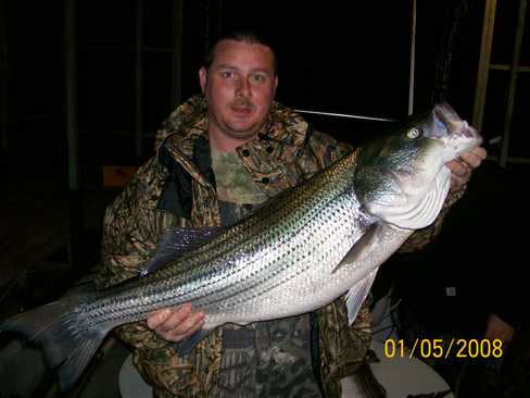 Nice Striped Bass