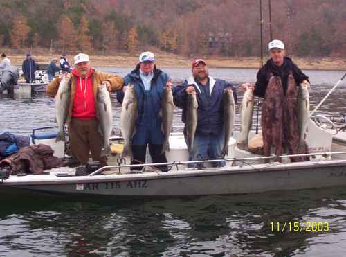 Nice Striped Bass