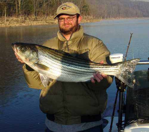 Nice Striped Bass