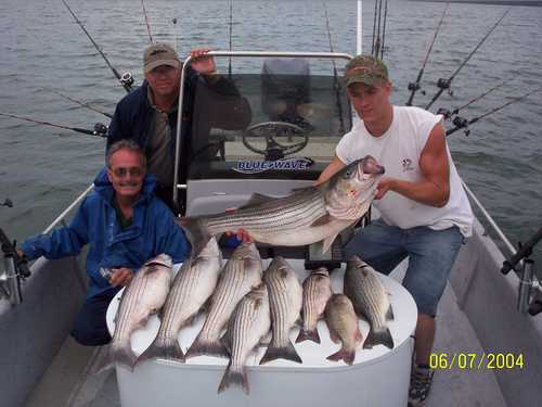 Nice Striped Bass