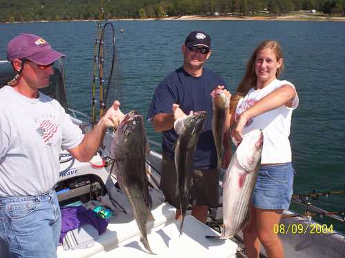 Nice Striped Bass