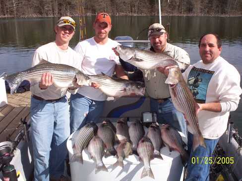 Nice Striped Bass