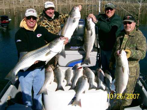 Nice Striped Bass