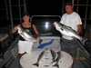 (07/10/2009) - Nice Striped Bass