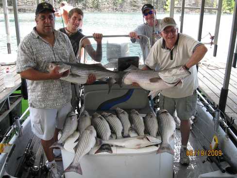 Nice Striped Bass