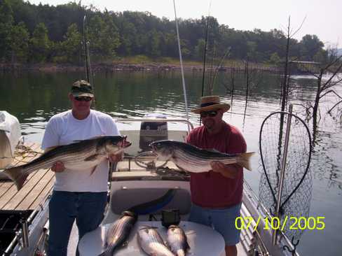 Nice Striped Bass